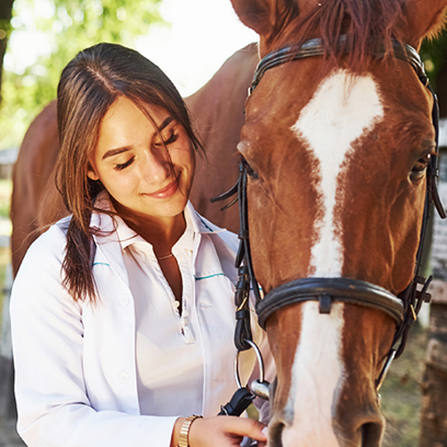 jpi-examvue-duo-package