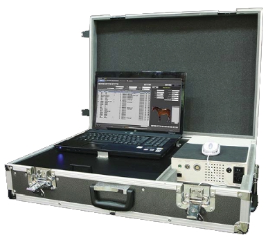 Portable Equine Xray DR9000F